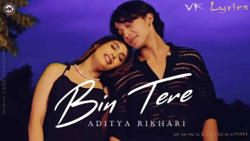 Bin Tere Lyrics by Aditya Rikhari