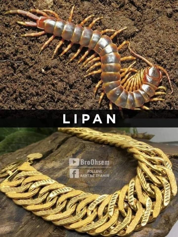 21+ Nama Tali Gelang Tangan, Inspirasi Terbaru!