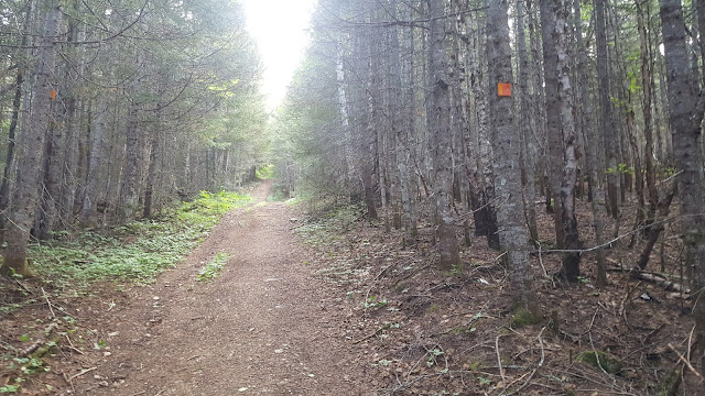 Sentier en direction vers le mont Vallières-de-Saint-Réal