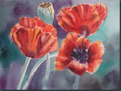 reader's poppies