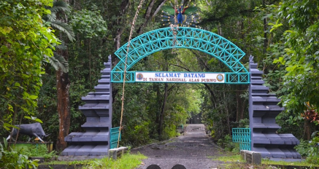 Pintu masuk Taman Nasional Alas Purwo