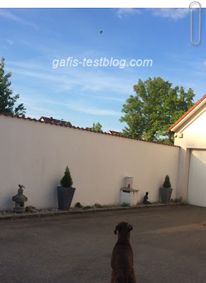 Amy sieht einen Heißluftballon