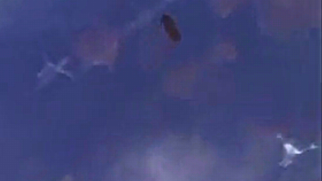 Is this a real UFO or a real Alien type of species filmed from the ISS.