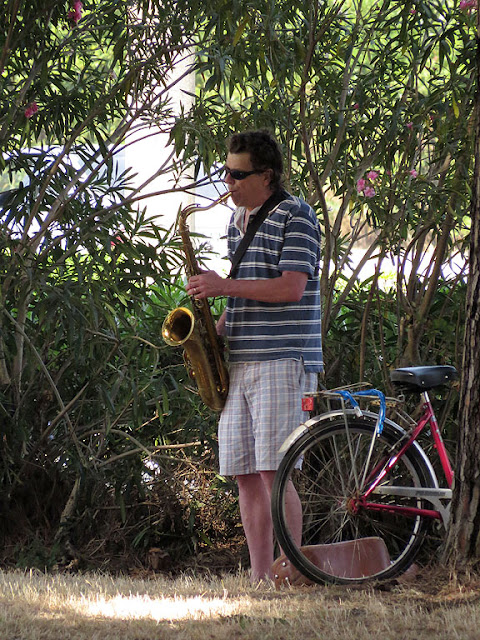 Sax player, pine grove, Viale della Libertà, Livorno