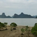 View album