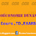 Macroéconomie Dynamique