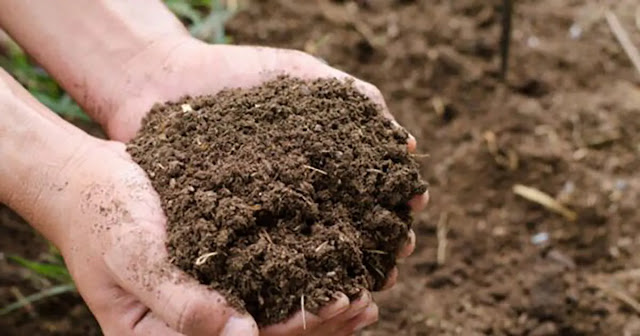 cara alami mempertahankan atau meningkatkan kualitas tanah