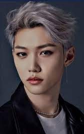 Felix - Stray Kids: Profile, Career and Facts