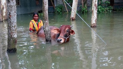 সিরাজগঞ্জে বন্যায় ২১০ শিক্ষাপ্রতিষ্ঠানে পাঠদান বন্ধ