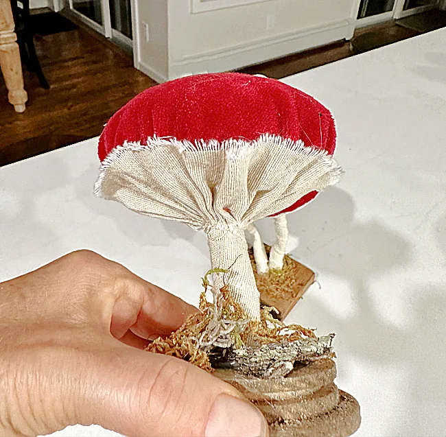 hand holding mushroom