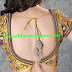 Zari Zardosi Silk Tie Back Blouse