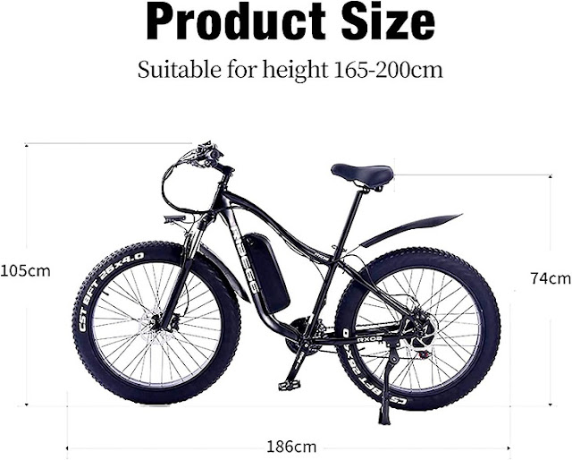 RX02 26-Inch Fat Tire Mountain Electric eBike Conquer Any Terrain