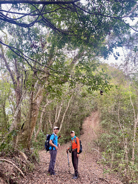 往稍來坑山