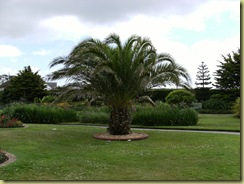 DSCF0085