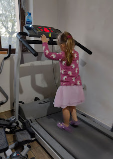 Rosie walking on the treadmill