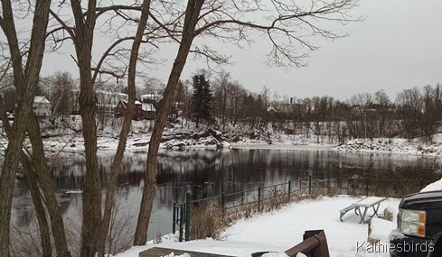 2. A bend in the Androscoggin on Bowdoin Island in Topsham 1-6-15 cell pic