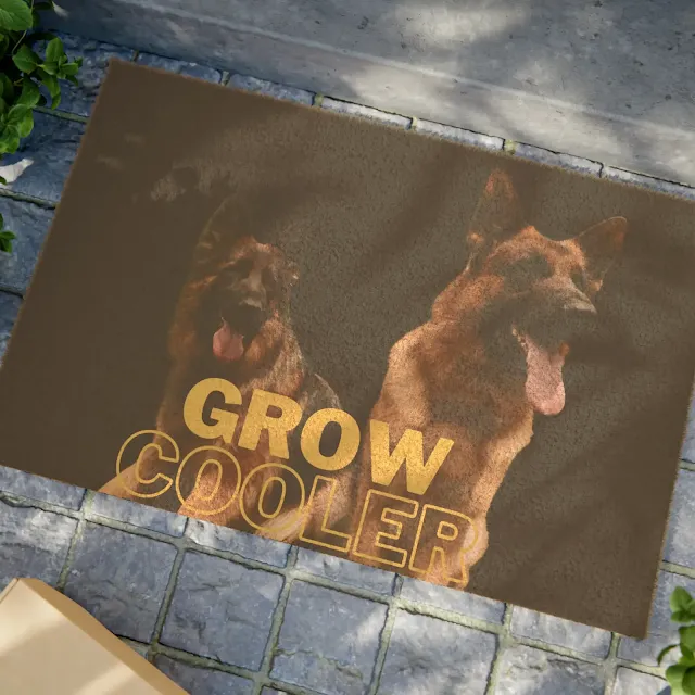 Doormat With Long Hair German Shepherd Female Next to Short Hair German Shepherd Male and Caption Grow Cooler