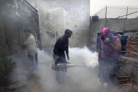 India Dengue