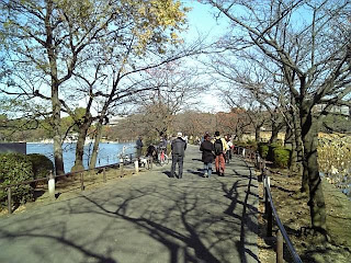 stroll road in shinobazu pond