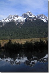NZ - Milford Sound 032