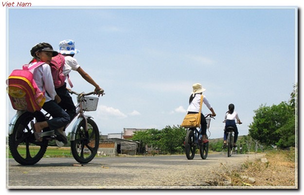 5-Toi-truong---Truong-Thi-Minh-Hang-16t