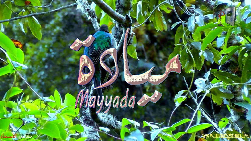 معنى اسم, ميادة, وصفات, حاملة, هذا الاسم, Mayada,