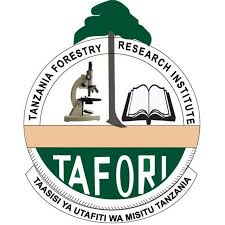 Receptionist Grade II Job Opportunities at TAFORI 2022