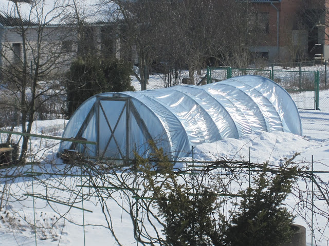 Greenhouse in winter