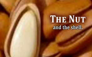 The Nut and the shell.