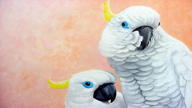 Blue-Eyed Cockatoo