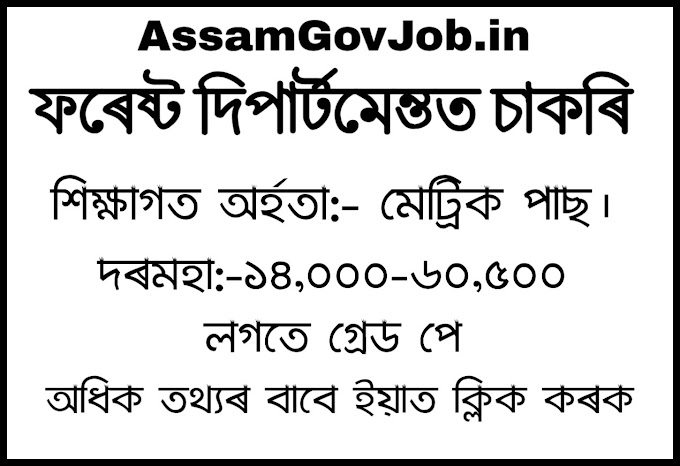  Job in Assam Forest Department :: Apply Online For 1081 Forester, Forest Guard & Other Posts