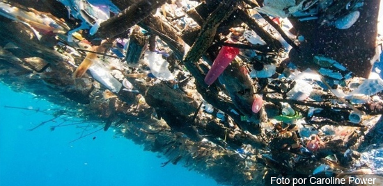 'Ilhas de lixo' no Caribe - Img 2