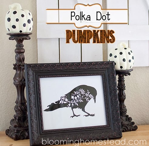polkadotpumpkin
