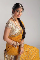 Shriya, saran, navel, pics, in, saree