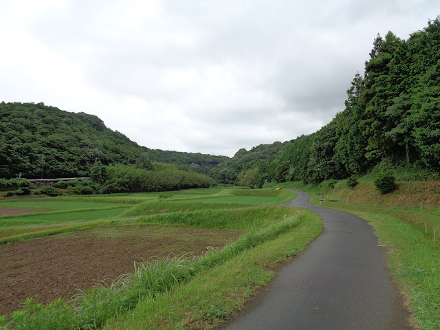 米子市淀江町福岡の田園地帯