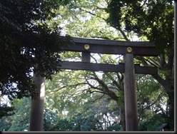 P1000354