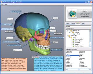 BoneLab 2 v2.3.36 Full Version with Patch