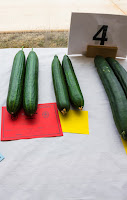 prize-winning cucumbers