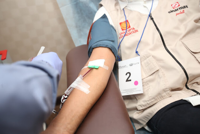 donor plasma sinar mas