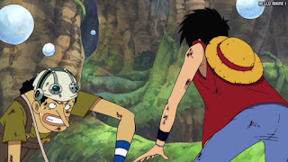 ワンピース アニメ 空島 スカイピア 163話 ルフィ ウソップ | ONE PIECE Episode 163 Skypiea