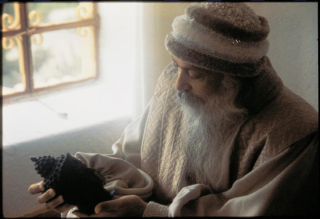 Brahms-Silent-Music-Osho