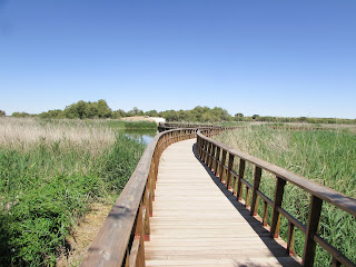 Parque Natural; Parque Nacional; Tablas de Daimiel; Ciudad Real; Castilla La Mancha