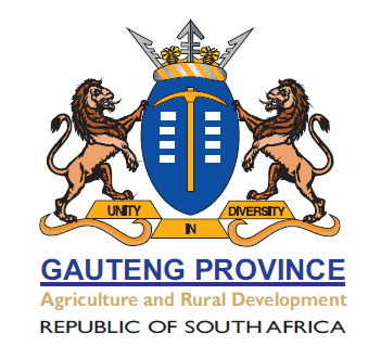 Gauteng Department of Health Pharmacist Vacancies 2024