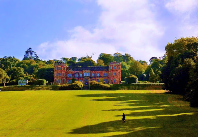 cutand-dry mount edgcumbe house