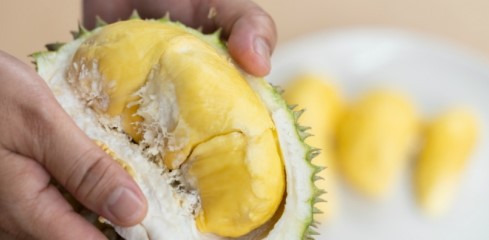 Kulit Durian Bisa Buat Isi Ulang Mobil Listrik?