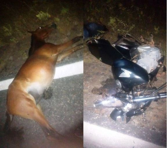 Colisão entre moto e animal deixa uma pessoa morta em rodovia no litoral do Piauí