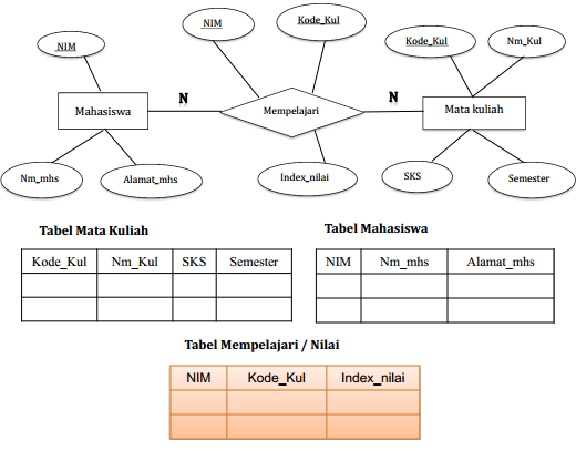 Model Data, Ditransformasikan  Data Nyamana