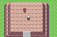 Pokemon Armageddon Screenshot 05