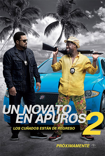 Un novato en apuros 2 (2016) Español Latino HD