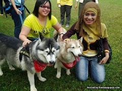 Kempen Sentuh Anjing Agenda Musuh Islam - Azhar Idrus